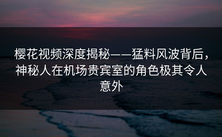 樱花视频深度揭秘——猛料风波背后,神秘人在机场贵宾室的角色极其令人意外
